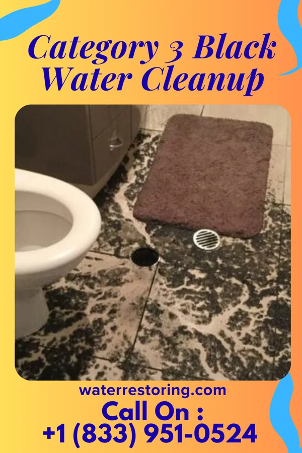 Category 3 Black Water Cleanup in Gilbertsville, NY