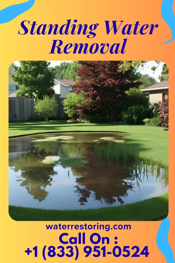 Standing Water Removal in Gilbertsville, NY